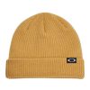 Narciarstwo Oakley Czapki | Czapka Zimowa Oakley Backbone Beanie