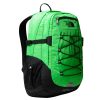 Turystyka The North Face Plecaki | Plecak Miejski The North Face Borealis Classic