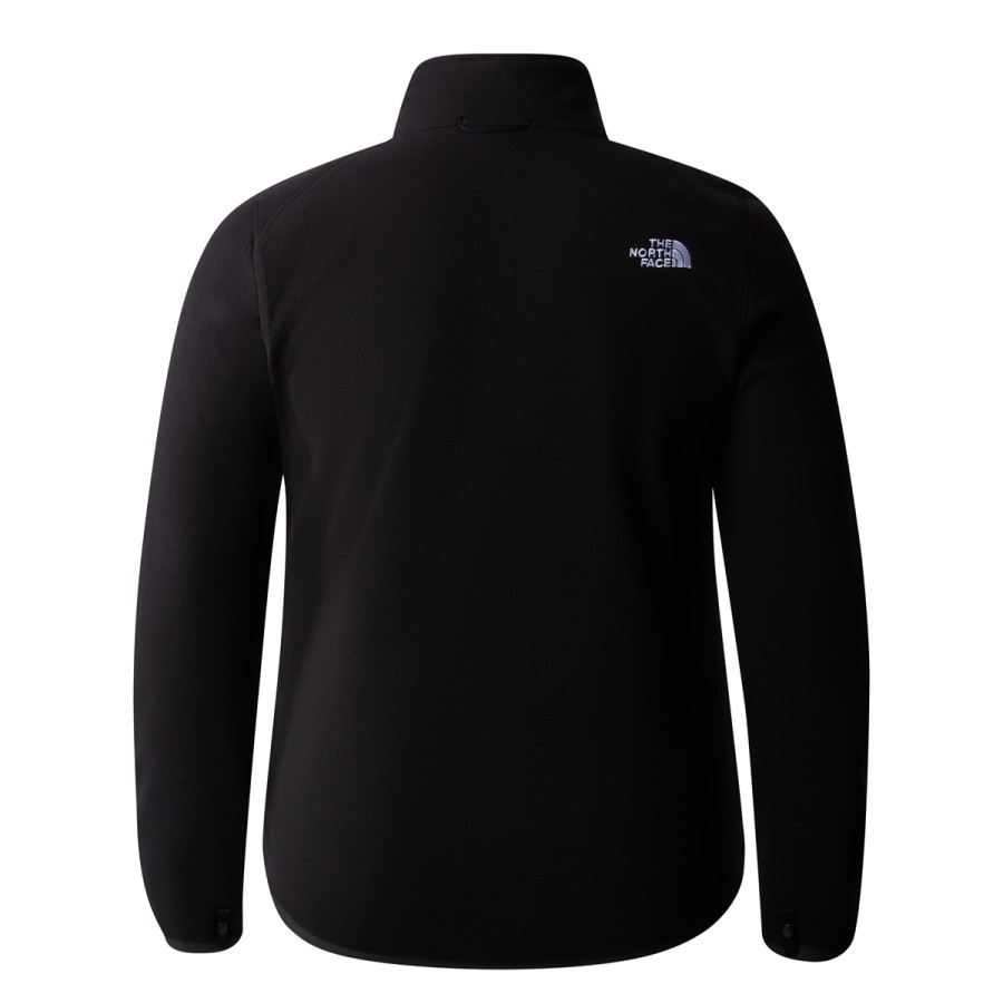 Narciarstwo The North Face Polary | Polar Damski The North Face Plus 100 Glacier Full Zip Plus Size