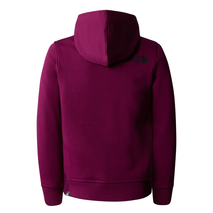 Dziecko The North Face Bluzy Dla Dzieci | Bluza Z Kapturem The North Face Teens Box P/O Hoodie Dziecieca