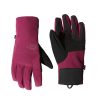 Kobieta The North Face Rekawiczki Damskie | Rekawice Zimowe The North Face Apex Etip Glove Damskie