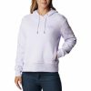 Turystyka Columbia Bluzy | Bluza Z Kapturem Columbia Lodge Hoodie Damska