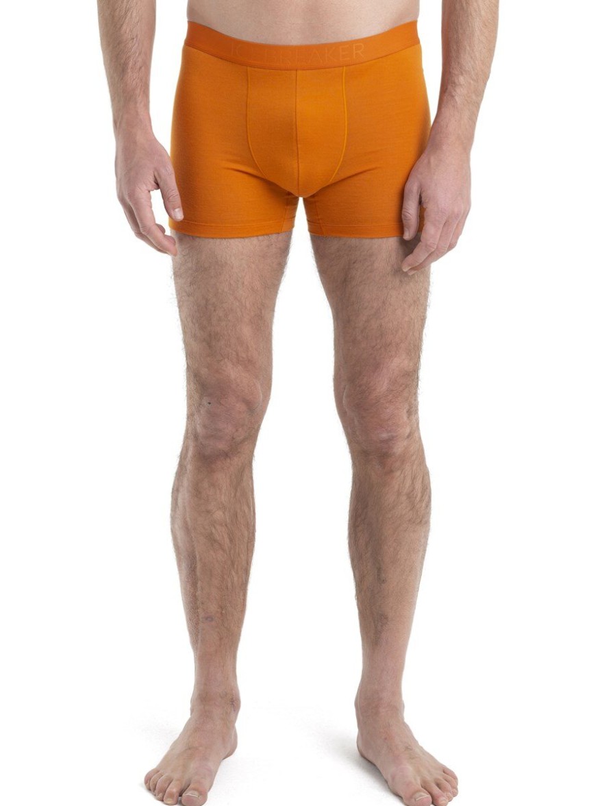 Mezczyzna Icebreaker Bielizna Meska | Bielizna Meska Icebreaker Anatomica Cool-Lite Boxers Majtki