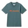 Dziecko Columbia T-Shirty Dla Dzieci | Koszulka Dziecieca Columbia Basin Ridge Ss Graphic T-Shirt