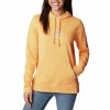 Turystyka Columbia Bluzy | Bluza Z Kapturem Columbia Trek Graphic Hoodie Damska