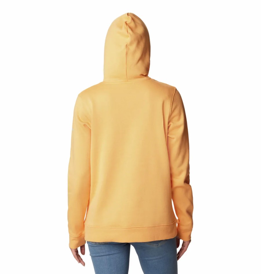 Turystyka Columbia Bluzy | Bluza Z Kapturem Columbia Trek Graphic Hoodie Damska